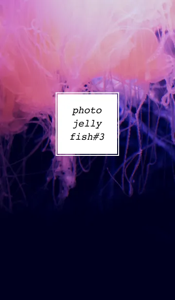 [LINE着せ替え] PHOTO-JELLYFISH#3の画像1