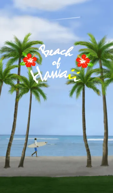 [LINE着せ替え] Beach of Hawaiiの画像1