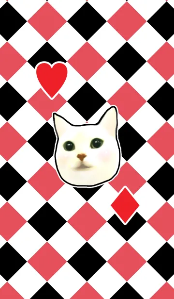 [LINE着せ替え] トランプ猫～ハートとダイヤ編～の画像1