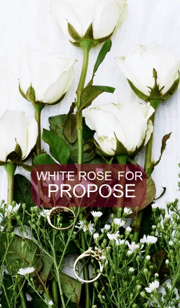 White rose for Proposeの着せ替えメイン画像