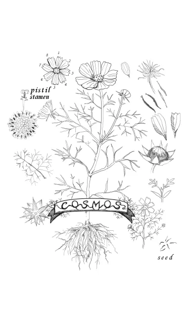 植物図鑑の着せ替えメイン画像