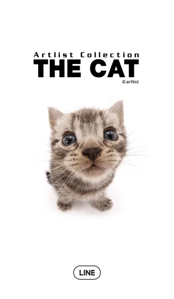 [LINE着せ替え] THE CATの画像1
