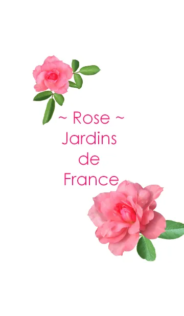 [LINE着せ替え] ~Rose~ Jardins de Franceの画像1