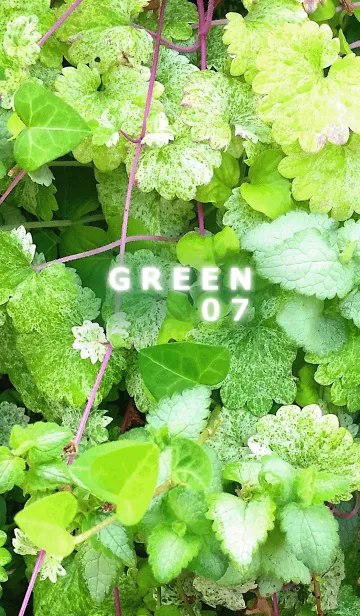 [LINE着せ替え] GREEN-緑07の画像1