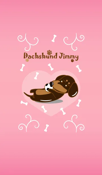 [LINE着せ替え] Dachshund Jimmyの画像1