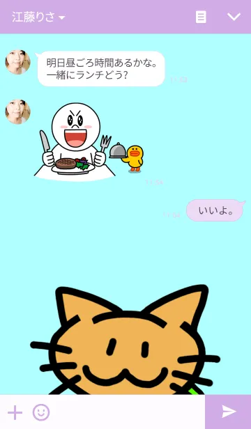 [LINE着せ替え] ネコ亀くんの画像3