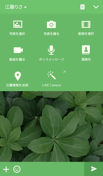 [LINE着せ替え] Greensの画像4