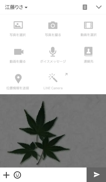 [LINE着せ替え] 夏の終わりの楓の画像4