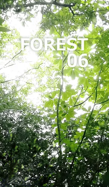 [LINE着せ替え] FOREST-森林06の画像1