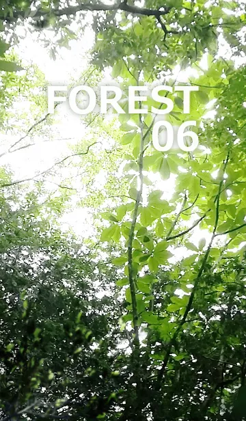 FOREST-森林06の着せ替えメイン画像