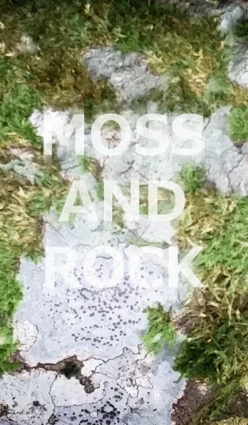 MOSS AND ROCK-苔石の着せ替えメイン画像