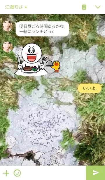 [LINE着せ替え] MOSS AND ROCK-苔石の画像3