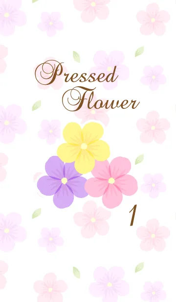 [LINE着せ替え] Pressed Flower 1！の画像1