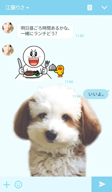 [LINE着せ替え] Maltipoo -MIITA-の画像3