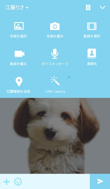 [LINE着せ替え] Maltipoo -MIITA-の画像4