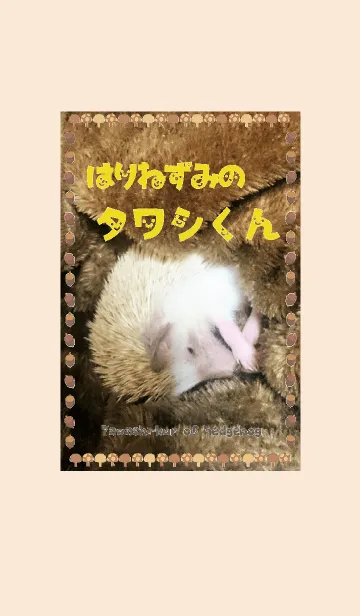 [LINE着せ替え] ✿ はりねずみのタワシくん ✿の画像1