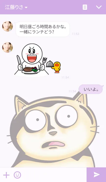 [LINE着せ替え] ホゲホゲ日記（ネコver.）の画像3