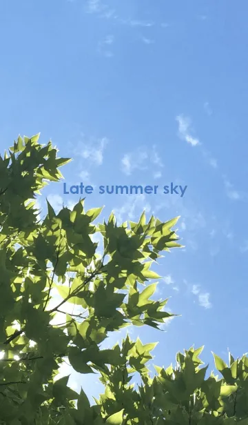 [LINE着せ替え] Late summer sky ~夏の終わりの空~の画像1