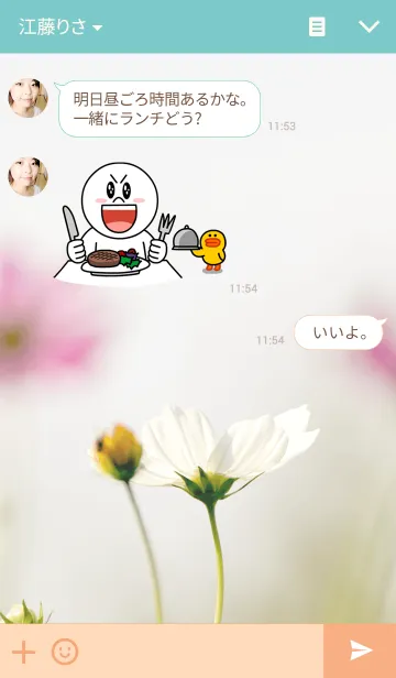 [LINE着せ替え] Soft color of Cosmosの画像3