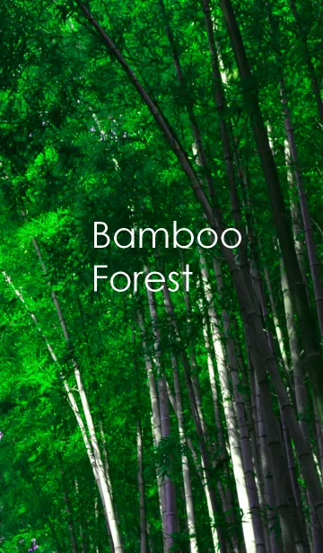 [LINE着せ替え] Bamboo Forest ~竹林~の画像1
