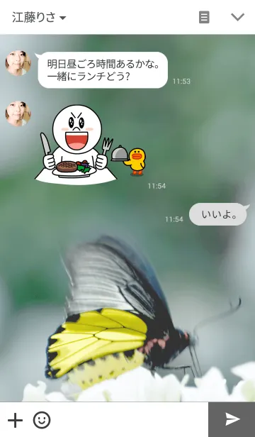 [LINE着せ替え] Beautiful Butterfly in White Gardenの画像3