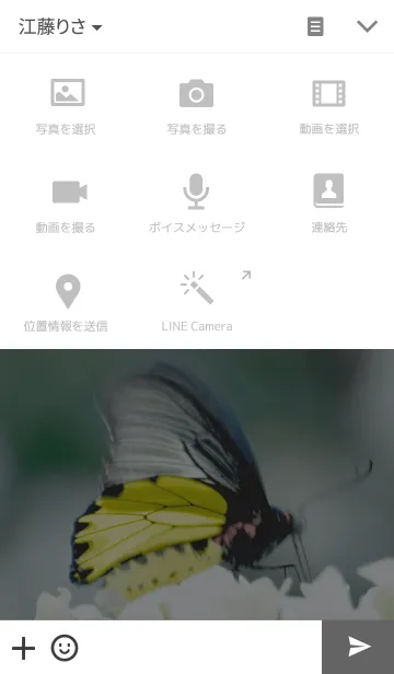 [LINE着せ替え] Beautiful Butterfly in White Gardenの画像4