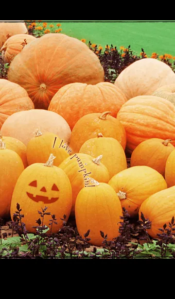 [LINE着せ替え] I love pumpkin！の画像1