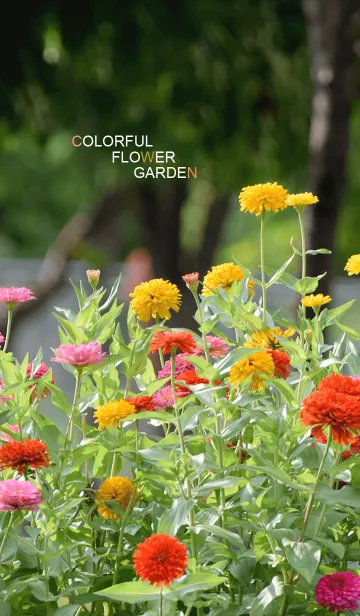 [LINE着せ替え] Colorful Flower Gardenの画像1