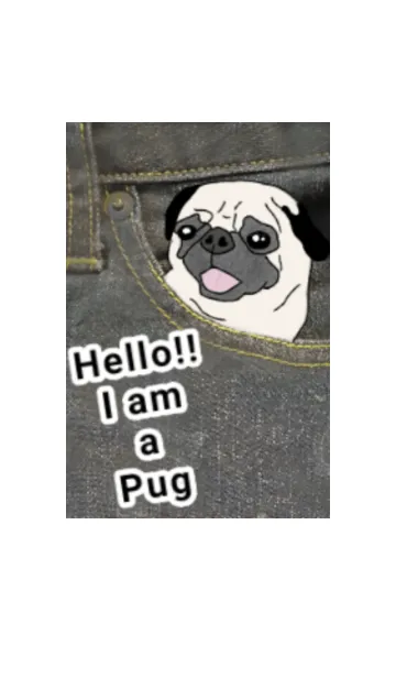 [LINE着せ替え] ポケットからひょっこり。僕をつれてっての画像1