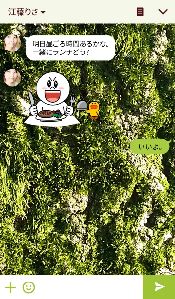 [LINE着せ替え] コケの画像3