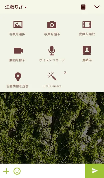 [LINE着せ替え] コケの画像4