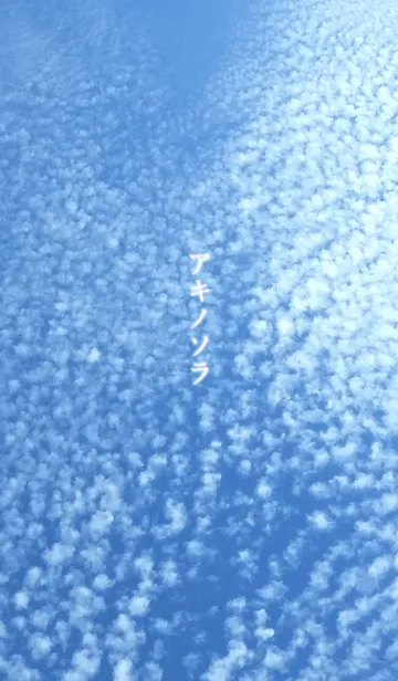 アキノソラの着せ替えメイン画像
