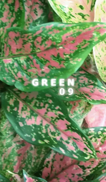 [LINE着せ替え] GREEN-緑09の画像1