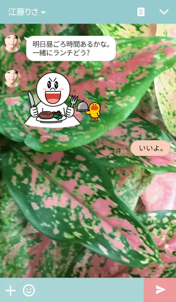 [LINE着せ替え] GREEN-緑09の画像3