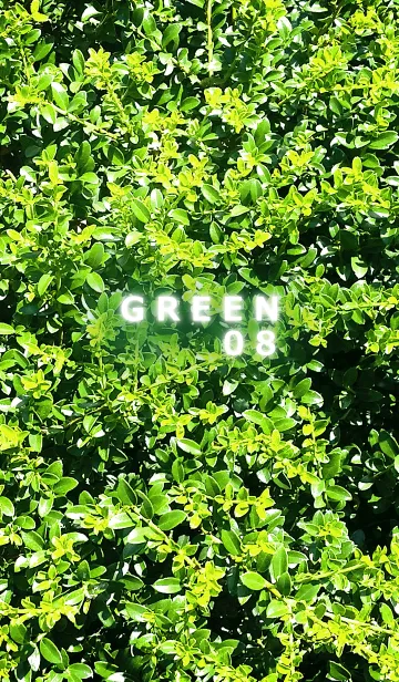 [LINE着せ替え] GREEN-緑08の画像1