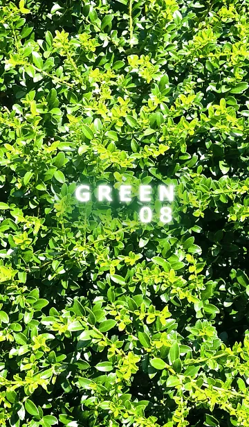 GREEN-緑08の着せ替えメイン画像