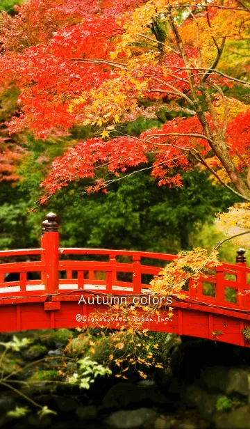 [LINE着せ替え] Autumn Colorsの画像1