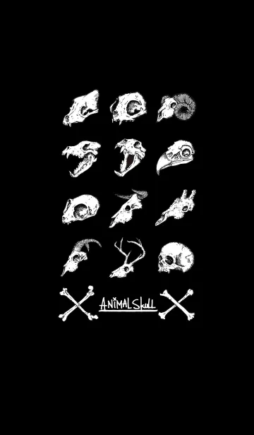[LINE着せ替え] Animal Skullの画像1