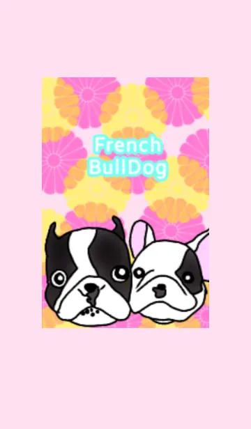 [LINE着せ替え] 仲良しフレンチブルドックの画像1
