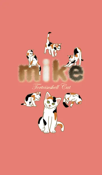 [LINE着せ替え] 三毛だらけの画像1