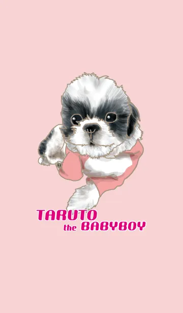 [LINE着せ替え] taruto the babyboyの画像1