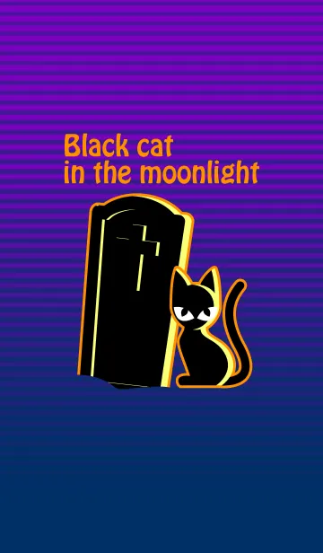 [LINE着せ替え] 月夜の黒猫の画像1