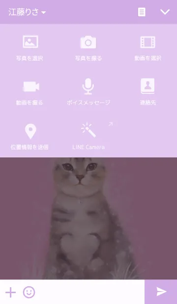 [LINE着せ替え] 猫の夢 vol.1の画像4