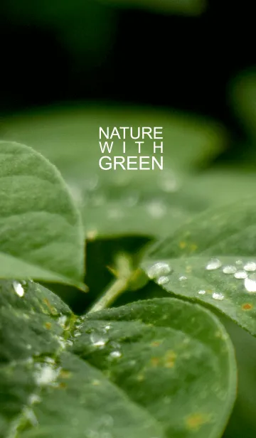 [LINE着せ替え] Nature with Greenの画像1