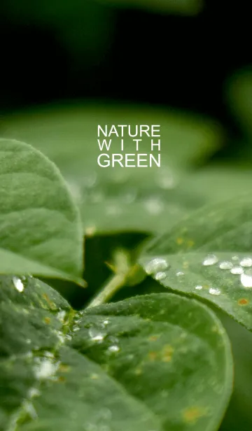 Nature with Greenの着せ替えメイン画像
