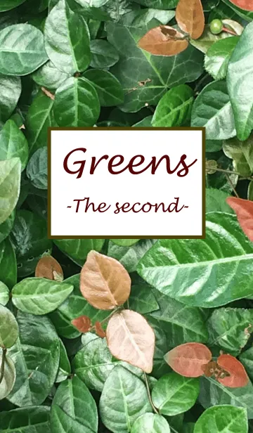 [LINE着せ替え] Greens2の画像1