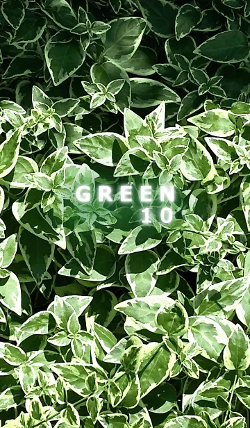 [LINE着せ替え] GREEN-緑10の画像1