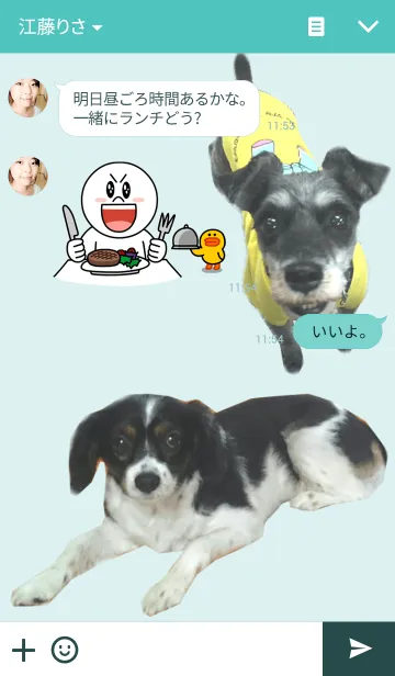 [LINE着せ替え] 百花とシュナ 仲良しライフの画像3