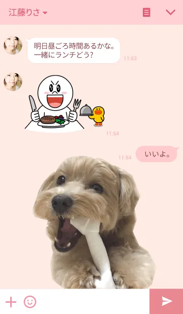 [LINE着せ替え] マルプーNEOちゃんの画像3