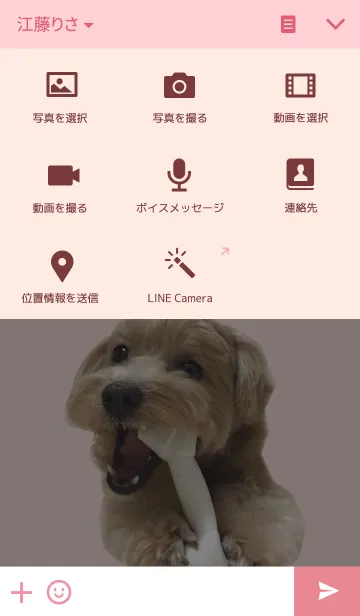 [LINE着せ替え] マルプーNEOちゃんの画像4